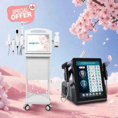 Factory Price Vaginal Tightening Face Lifting 3D 4D 5D Hifu Machine for Beauty Salon and Clinic Use - Qingdao Leapilov S&T Development Co., Ltd