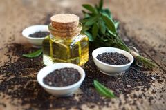 Rapeseed Oil – Enhancing Product Lines with Natural Goodness - Image 1