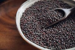 Top Quality Mustard Seeds for sale - Image 3