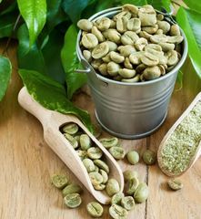 Raw Green Coffee Beans for Commercial Roasting Facilities and Specialty Coffee Production Requirements - Image 1