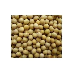 Wholesale Ukraine & Brazil Organic Non-Gmo Soyabean Yellow Soybean Soja Soya Beans - Image 2