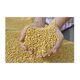 SOYBEAN NON GMO # 1( HUMAN CONSUMPTION) - Image 2