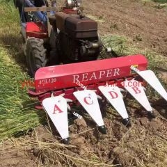 Combine Corn Harvesting 2 Rows 3 Rows 4 Rows Big Horsepower Corn Maize Harvester Machines with Chopper System High Productivity - Image 5