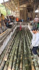 Bamboo poles - Image 4