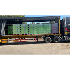 Top_selling Saigon Export Premium Alc 4.8% Beer 330ml Color Light Type Hybrid Beer Weight (kg) 0.33 Variety Steam Beer Shelf Life 12 - Image 4