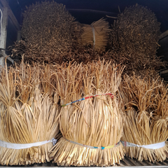 Dried Water Hyacinth Raw Material - Natural Fiber from Vietnam - Image 4
