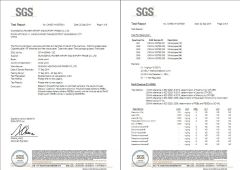 SGS Report certificate from GUANGZHOU RICHER IMPORT AND EXPORT TRADE CO.,LTD.