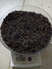 Black Pepper available - Image 2