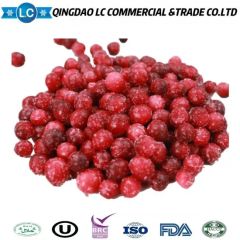 Competitive Price Bulk Frozen IQF Fresh Fruits Red Lingonberry - Image 3