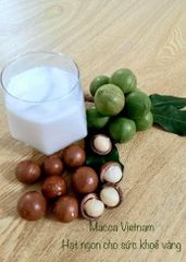[ Free sample ] High Quality 100% Macadamia nuts cracked dried size 22mm - 25mm origin Vietnam service private label for healthy - Image 2