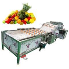 Strong Quality Vegetable Washing Equipment Sweet Potato Washing Machine - Image 5