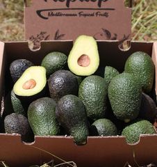 Hass Avocado  - Image 1