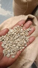Coffee & Coffee Bean – product photo 2, product detail gallery