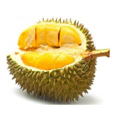 FREE TAX - Hot SALE Vietnam fresh/ frozen / dried durian - Wholesale for durian fresh / durian vietnam - Image 2