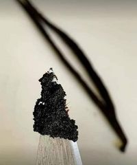 Vanilla Beans – product photo 5, product detail gallery