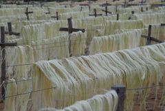3mm Natural Fiber Sisal Baler Twine for Agriculture Concrete & Spinning Use-Eco-Friendly Chemical-Resistant - Image 1