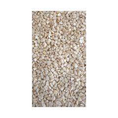 Wholesale white maize supply direct from top producers - Image 1