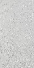 Asian Paints Exterior Rustic Wall Texture Painting services, 20 ltr - Image 3