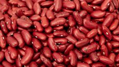 KIDNEY BEANS READY FOR EXPORT - Image 1