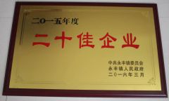 Top twenty companies certificate from Tian Chang Redstar Wire Drawing Die Factory