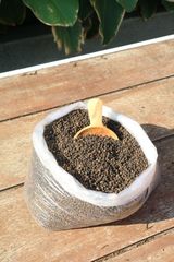 Black Pepper - Image 2