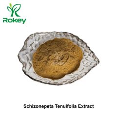 Herbal Supplement Support Premium Schizonepeta Tenuifolia Extract Powder - Changsha Rokey Biotechnology Co., Ltd.
