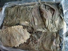 Frozen Salted Beef Omasum - Image 5