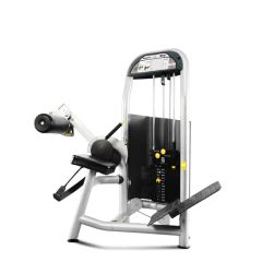 Gym Fitness Sports Strength Exercise Equipment Back Commercial Training in Gym Room - WNQ (Shanghai) Body-Building Equipment Co., Ltd.