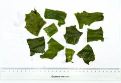 dried cut wakame Form Dried Texture Cut Origin China Features Vegan Product Type seaweed Quality Control Stringent Quality Focus High-quality - Image 1