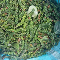 Premium Quality Dried Raw Vietnam Black Pepper 550 G/L 570 G/L Bold Grain Whole Peppercorns Export Grade Standard 500 G/ - Image 2