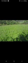 Agriculture, Food & Beverage - Image 1