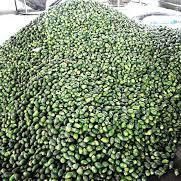 Vietnamese Fresh and Dried Betel Nuts Ready to Ship – product photo 4, product detail gallery