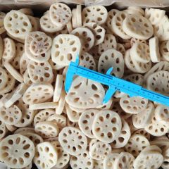 IQF Frozen Lotus Root Slices Vegetables Frozen Food GMO None Color White Blanching Yes Type Lotus Root HS Code 0710809090 - Image 5