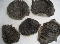 OMASUM SALTED - Image 1