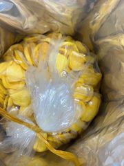 Dried jackfruỉt chips Grade Aaa Brix 15° And Above Moisture Content < 5% Certifications Iso, Haccp, Gmp, Brc, Halal, - Image 3