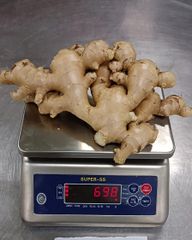 Ginger Agriculture Product Ginger with Competitive Price Vietnam Top Quality Ginger by Holiday whatsap +255787979235/ 255762500052 - Image 2