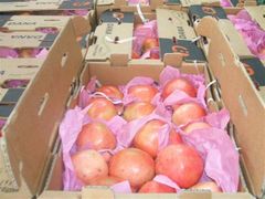 Pomegranates - Image 2