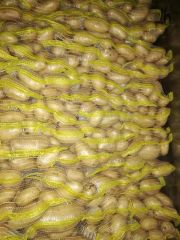 Mozika Potato Organic Yes Flesh Texture Firm Flesh Color Yellow Skin Texture Smooth Freshness Level Fresh Storage Stability Good - Image 2