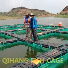 Carp Fish Farming, Catfish Farming Equipment for Sale - Image 1