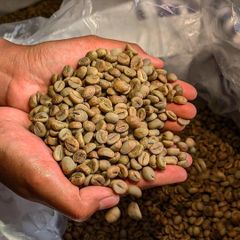Coffee Beans - Robusta - Image 2