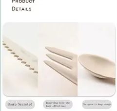 Sugarcane Pulp Spoons Disposable Biodegradable Paper Spoons Cutlery - Image 6