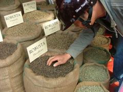 Robusta coffee beans/Arabica And Robusta Coffee Beans , Green Coffee Beans for sale – product photo 3, product detail gallery