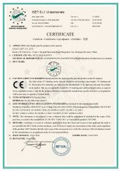 CE-Electric Chain Hoist certificate of Giant Lift Co., Ltd. – certificate photo, supplier certificates section