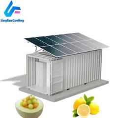 Eco-Friendly Solar Refrigeration System with Advanced Cooling Technology - Image 6