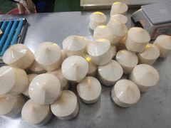 Fresh Coconut Packaging 9 pcs/box Weight Per Fruit 800–900 Grams Water Volume 300–350 Ml Per Nut Packing Quantity 9 Pieces Per Carton - Image 5