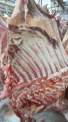 100%  Fresh Chilled Bull Beef - Image 2