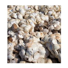 Natural Rubber SVR3L / Rubber Cup Lump/ Raw rubber - Image 4
