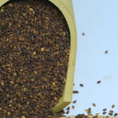 Fresh Natural Whole White Humera Sesame Seed from Ethiopia High Oil Content Best Price - Image 5