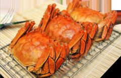 China Cooked Mitten Crab, IQF Origin China HS Code 160510 Model NO. C-08 Type Cephalopod Trademark DACHENG Process Fresh - Image 3