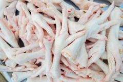 Frozen Chicken Feet Grade A — Export Quality, Halal Certified, Frozen at -18°C - Image 3